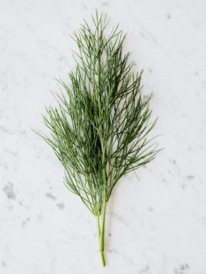 Fresh Dill 1 Bunch – Only For Dublin Customers