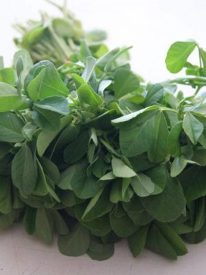 Fresh Methi (Fenugreek Leaves) 1 Bunch – Only For Dublin Customers