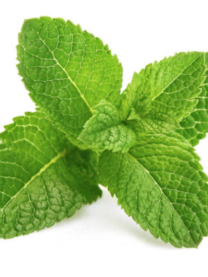 Fresh Mint 1 Bunch – Only For Dublin Customers